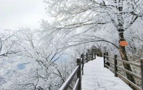 龍頭山今日又下雪啦，每一幀都是“限定浪漫”！縮略圖